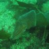 IMG_0585 2